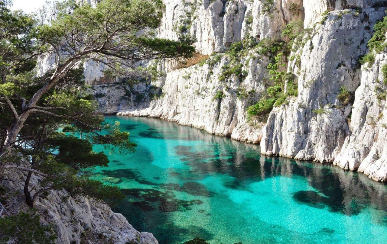 Le Patio Des Mimosas Par Dodo-A-Cassis Bed & Breakfast ภายนอก รูปภาพ